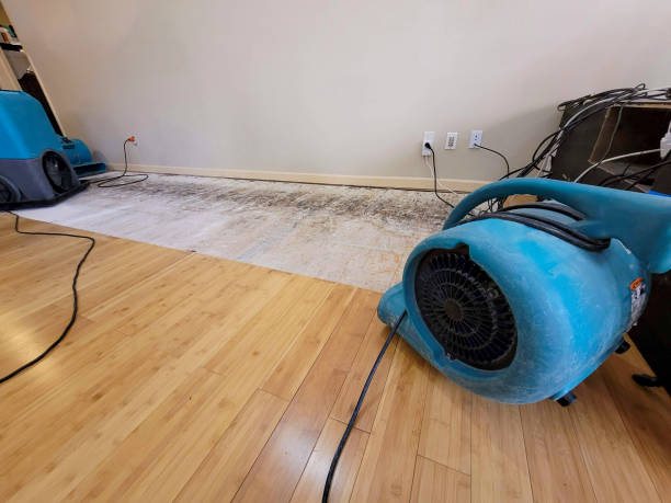 Professional Basement Flood Cleanup technician working in Wolcott, IN